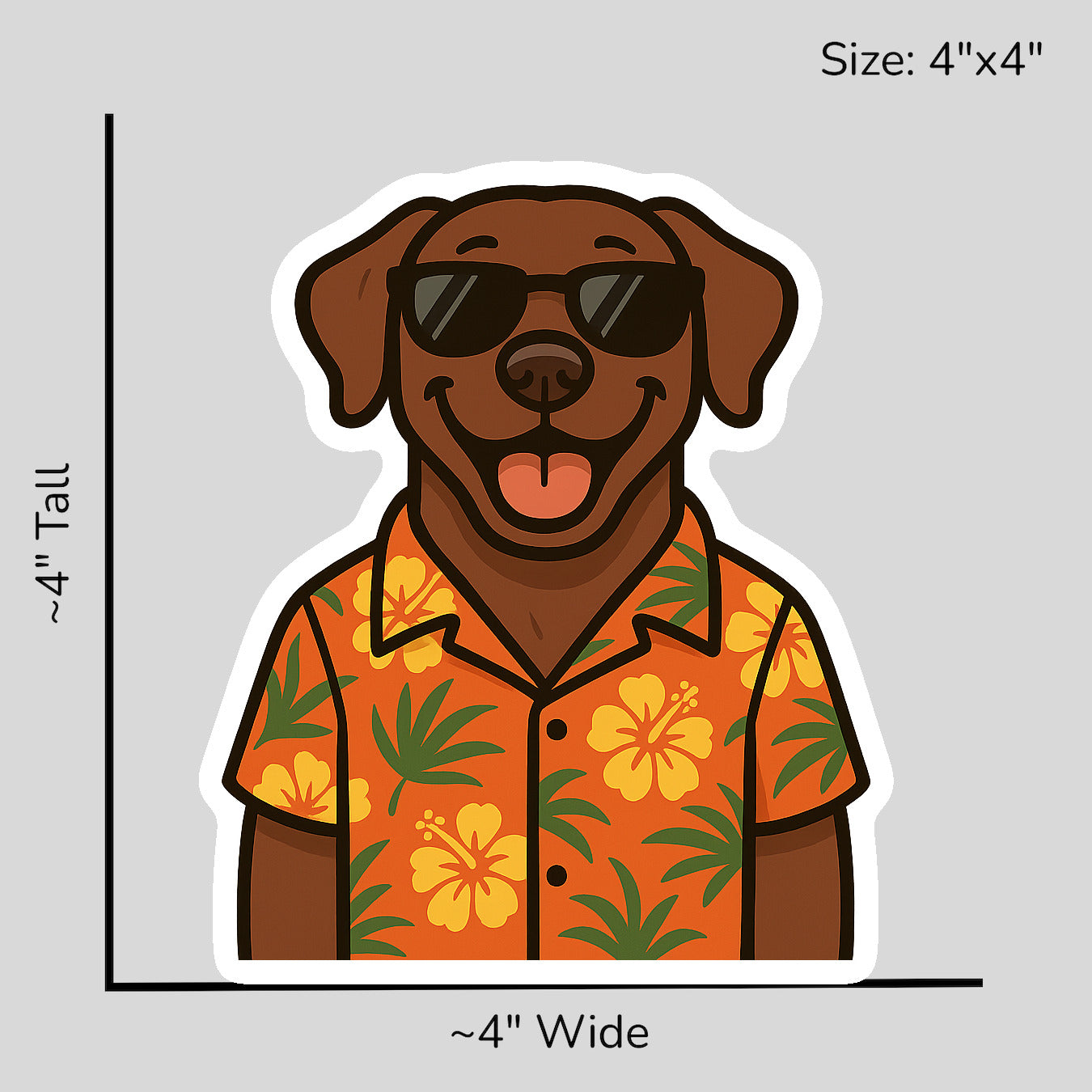 Tropical Chocolate Lab - Size Reference Mockup