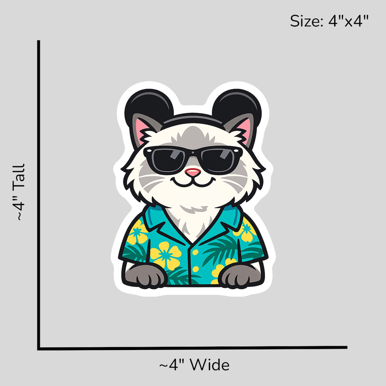 Magic Blue Point Ragdoll - Size Reference Mockup