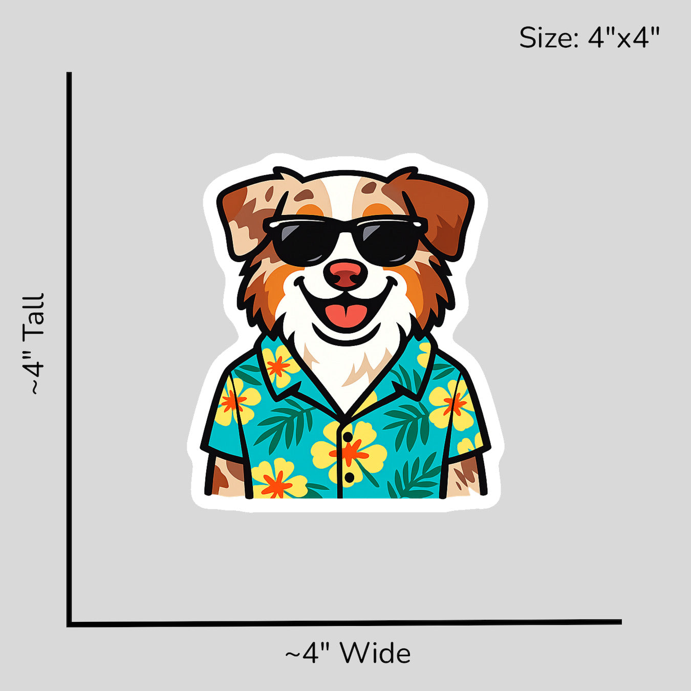 Tropical Red Merle Australian Shepherd - Size Reference Mockup