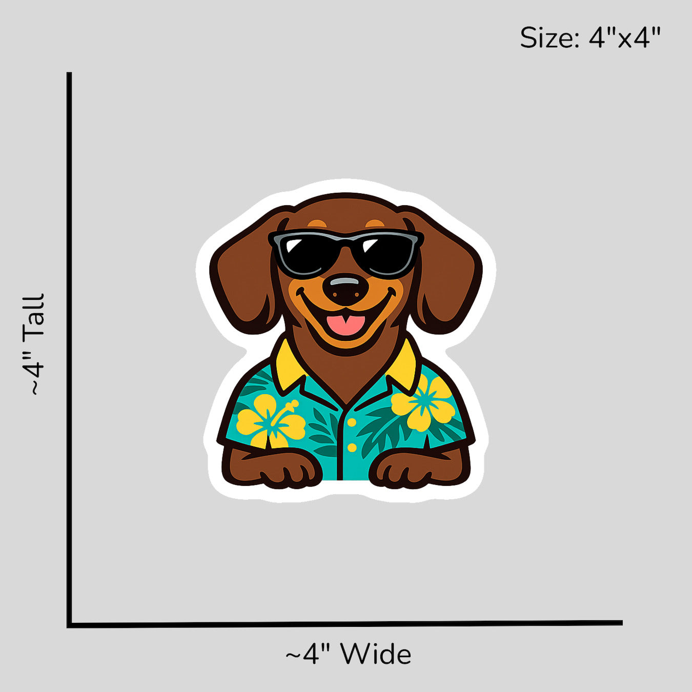Tropical Chocolate Dachshund - Size Reference Mockup