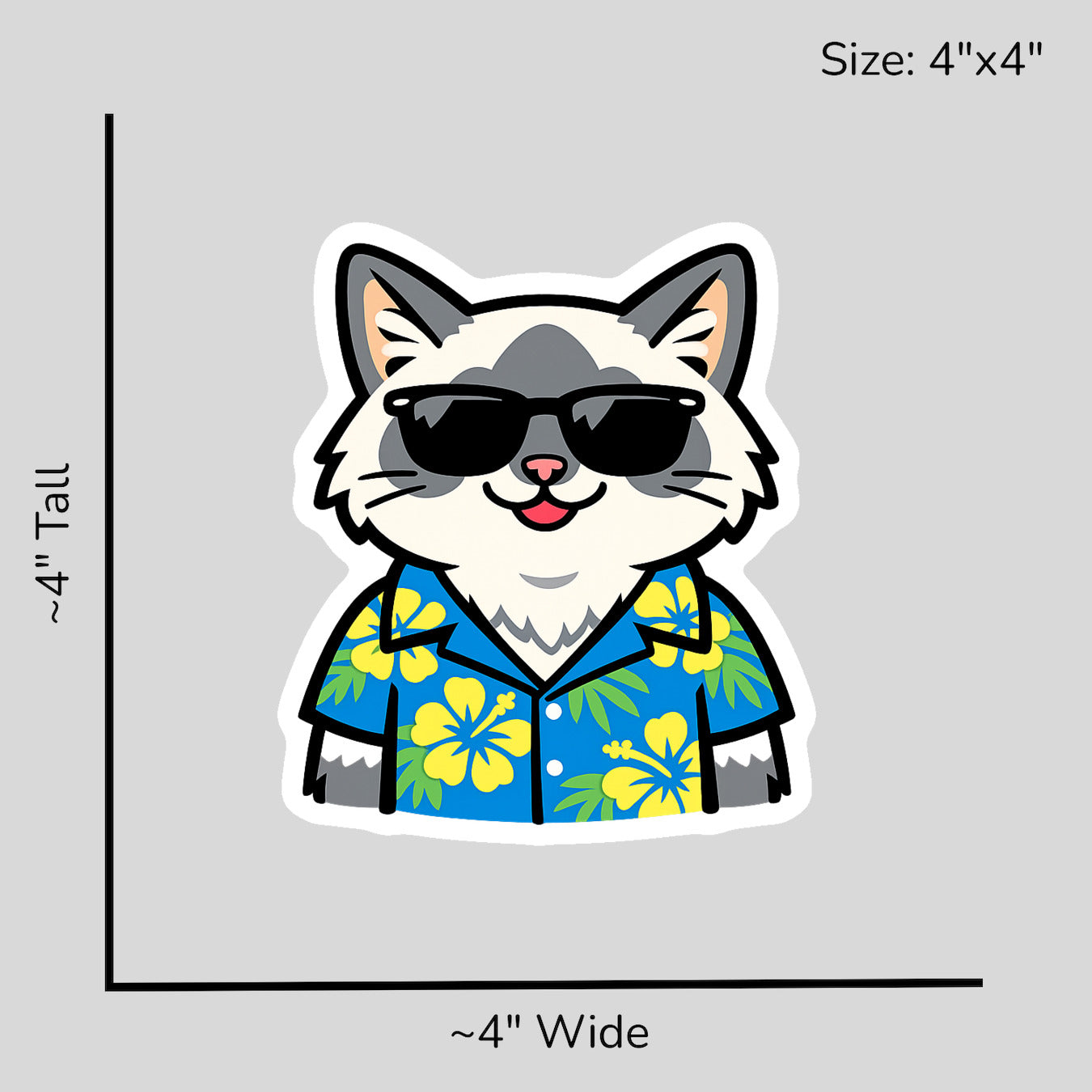 Tropical Blue Point Ragdoll - Size Reference Mockup
