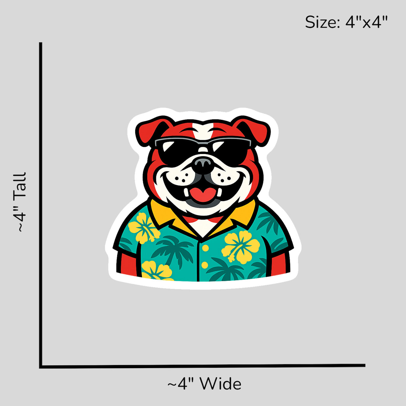 Tropical Red English Bulldog - Size Reference Mockup