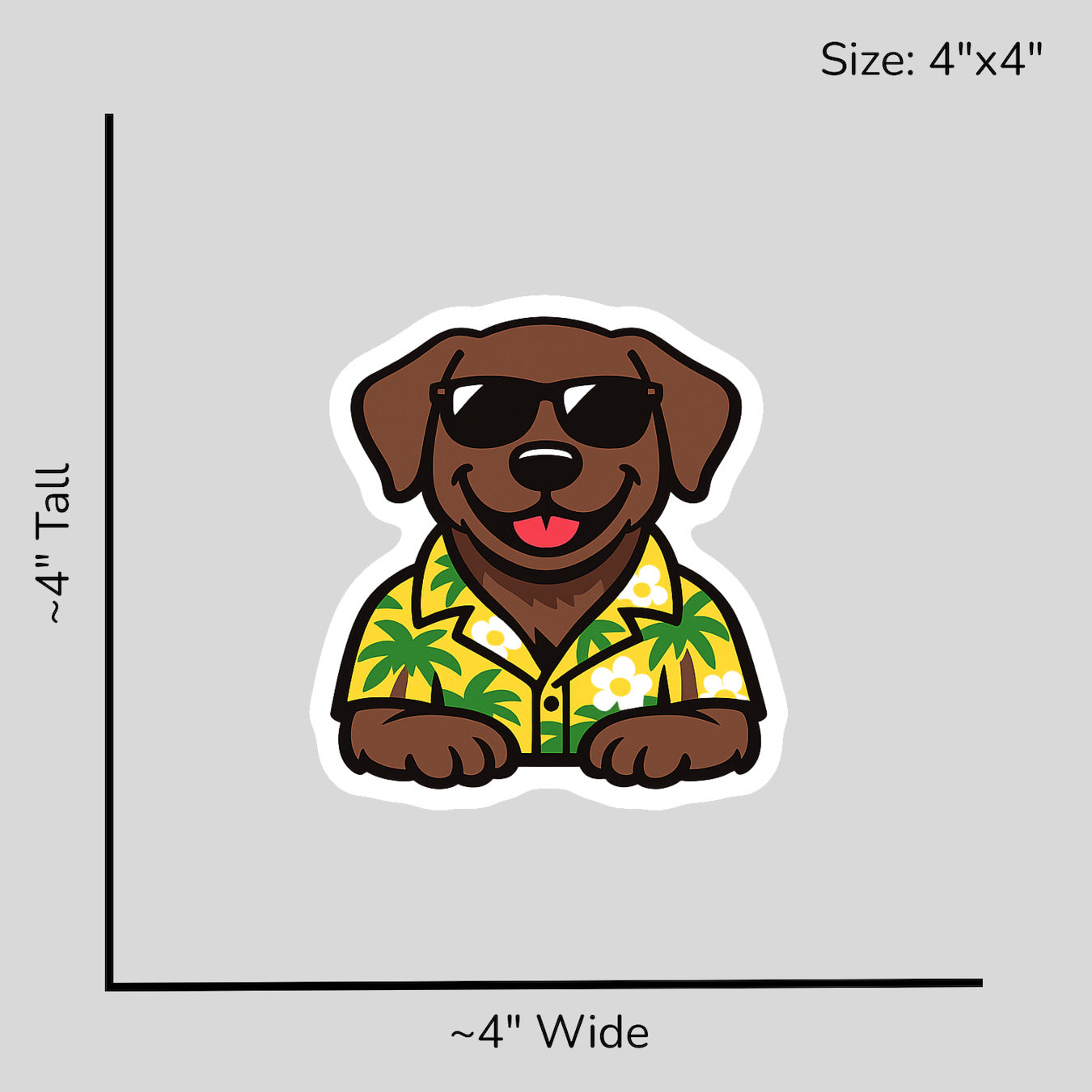 Tropical Chocolate Lab - Size Reference Mockup