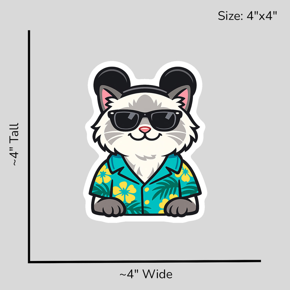 Magic Blue Point Ragdoll - Size Reference Mockup