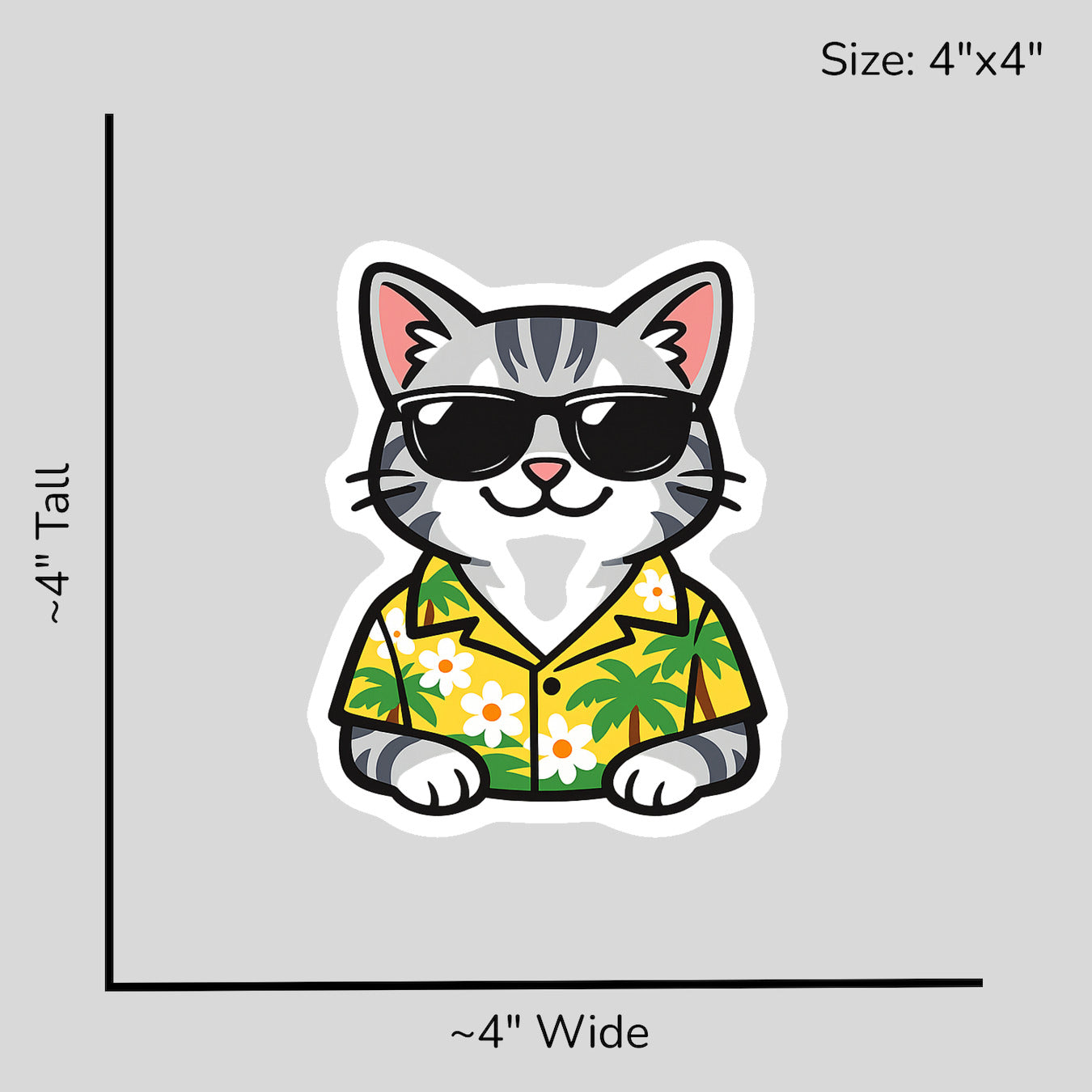 Tropical American Shorthair - Size Reference Mockup